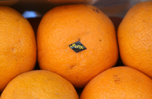Апельсин  страна производитель Морокко